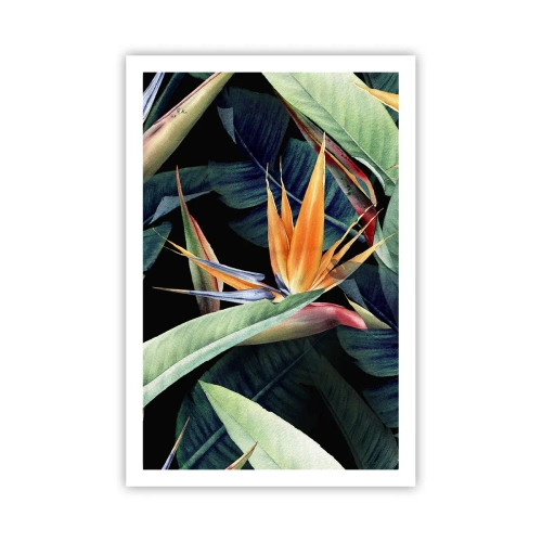 Poster - Flaming Flowers of the Tropics - 61x91 cm