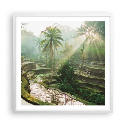 Poster in white frmae - Maturing in the Sun - 60x60 cm