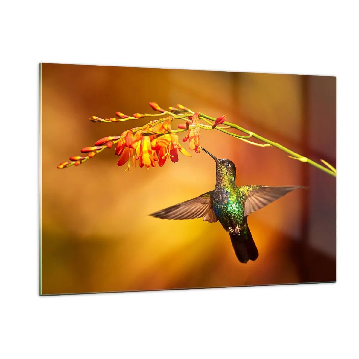 Glass picture - Messenger of Light according to the Mayans - 120x80 cm