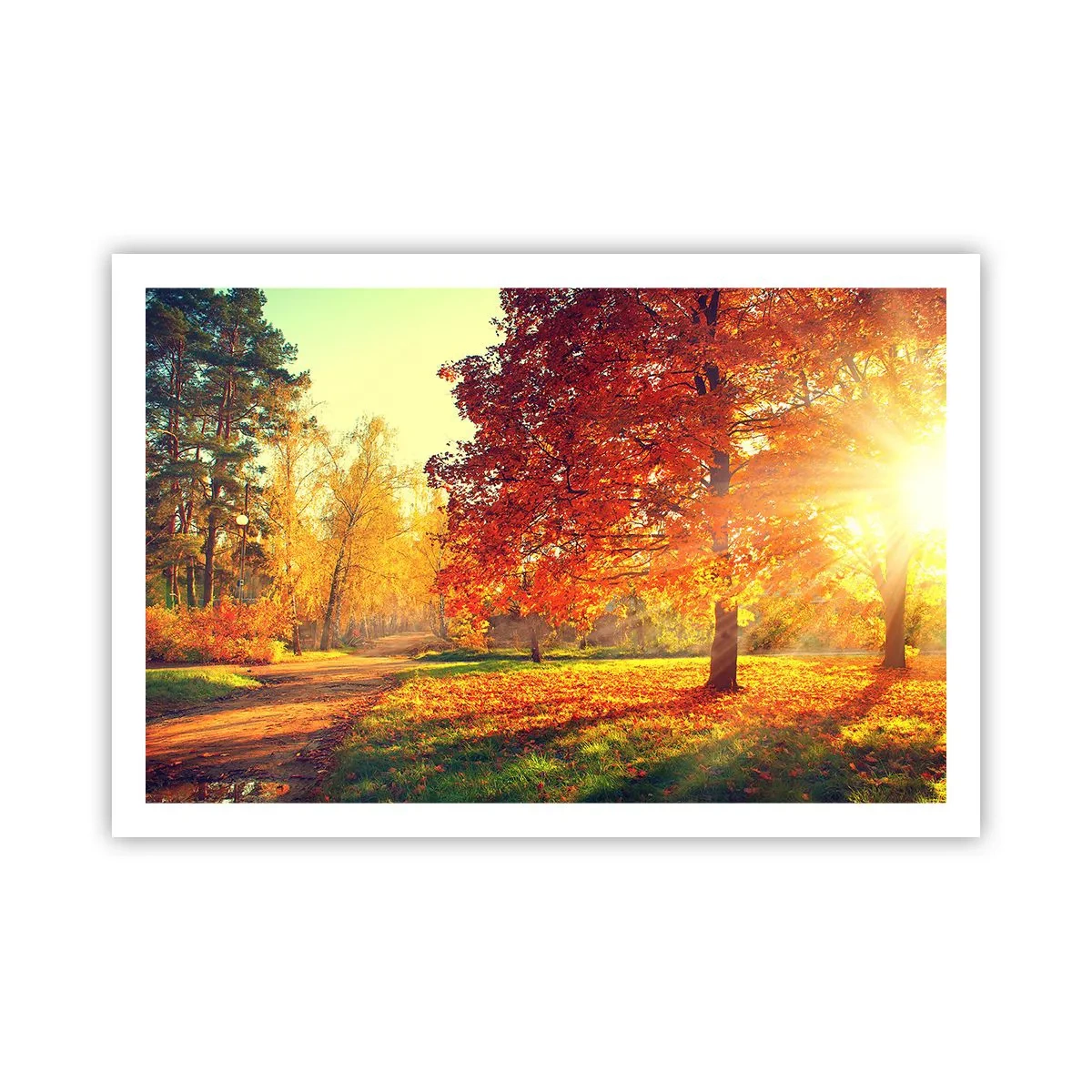 Poster - Ginger Is Beautiful - 91x61 cm