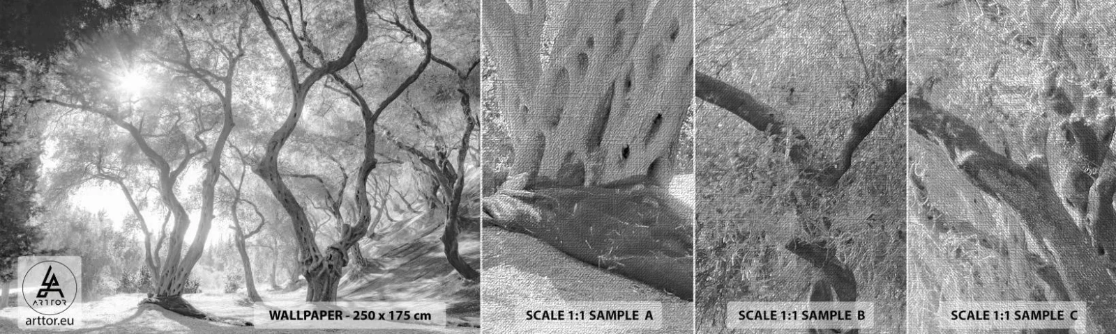 Photo Wallpaper Sample Premium Canvas - In an Olive Grove - Forest, Winter, Trees - 100x30 cm