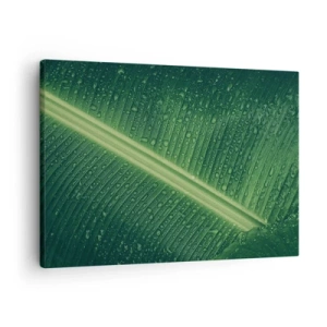 Canvas picture - A green leaf with water drops on its surface - 70x50cm - Structure of Green - Modern wall decoration for the living room and bedroom ARTTOR