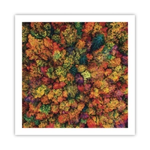 Poster - Bouquet of Autumn Flowers - 60x60 cm