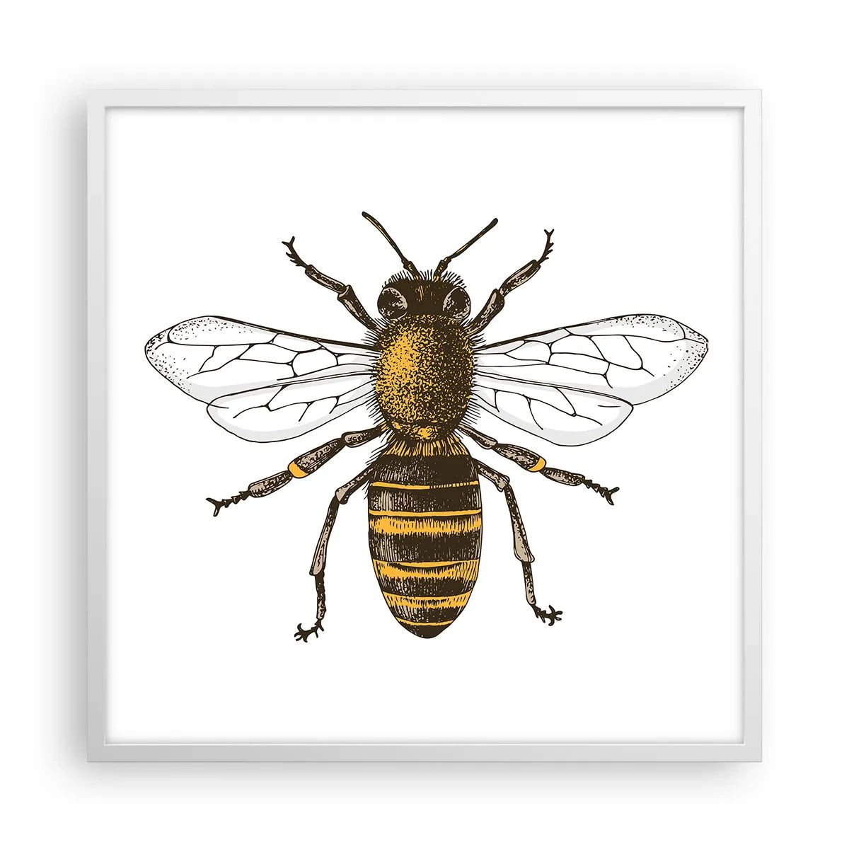Poster in white frmae - Beautiful and Good - 60x60 cm
