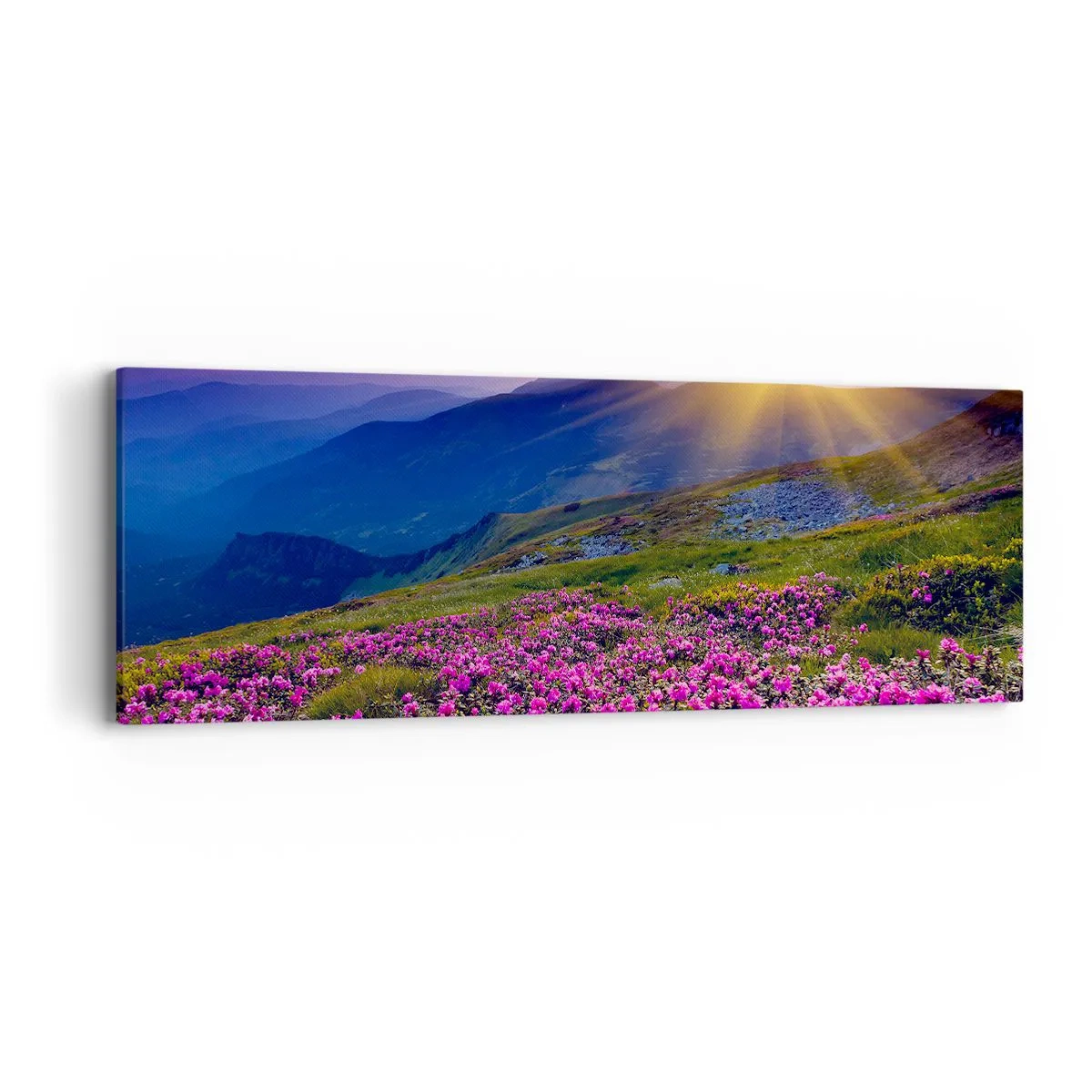 Canvas picture - Surrounded by Mountain Pine and Herbs - 90x30 cm