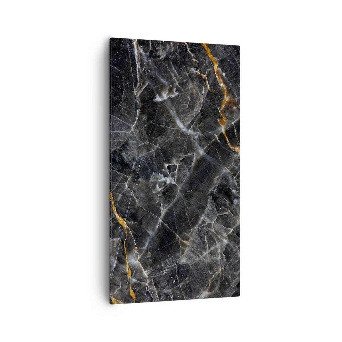 Canvas picture - Interior Life of a Stone - 55x100 cm