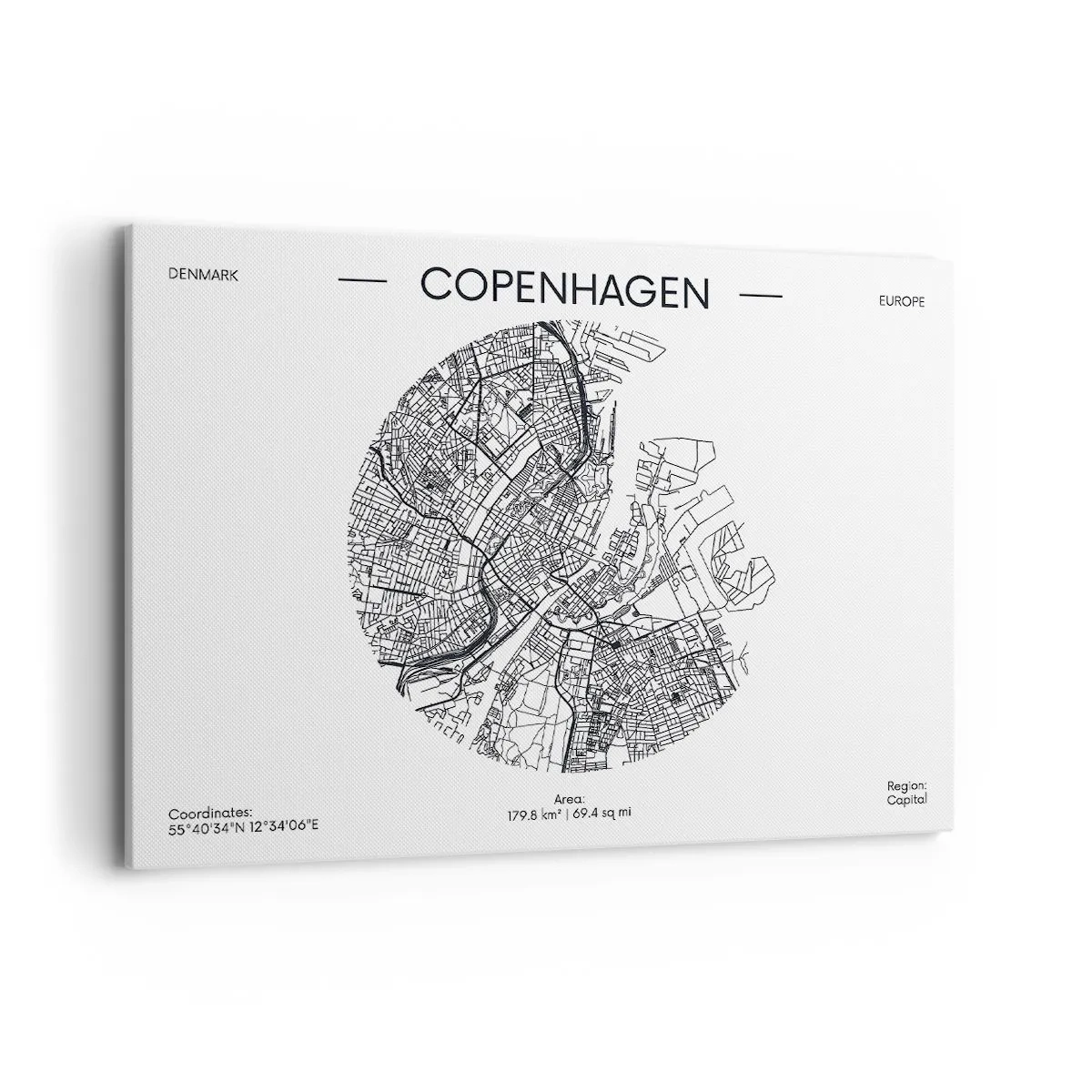 Canvas picture - Anatomy of Copenhagen - 100x70 cm