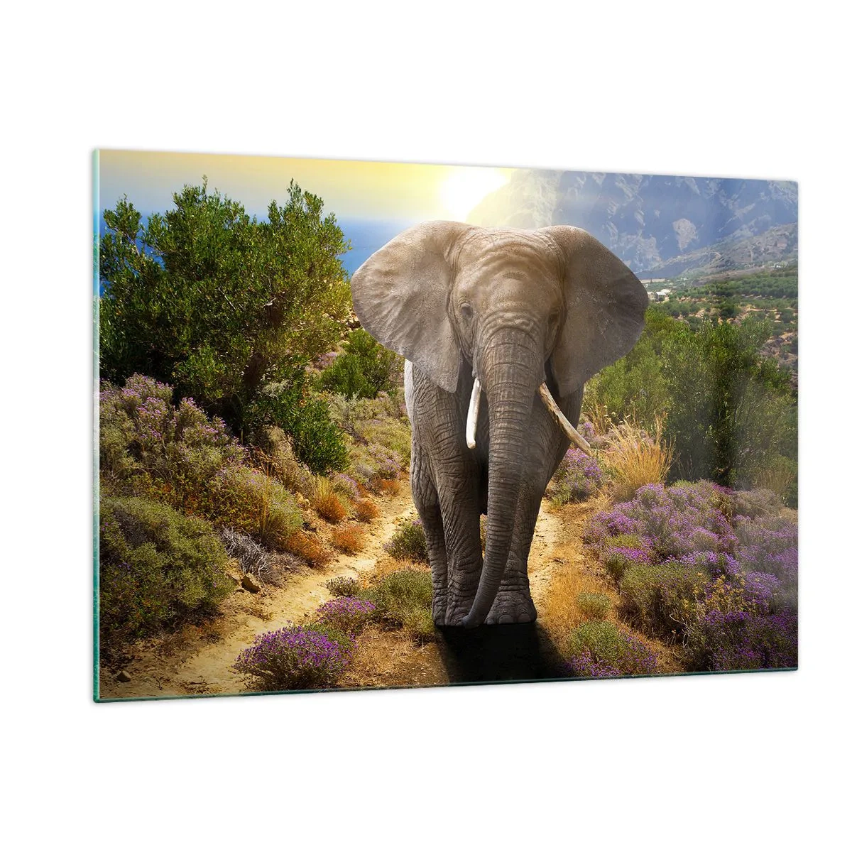 Glass picture - This is What Eden Looked Like - 120x80 cm