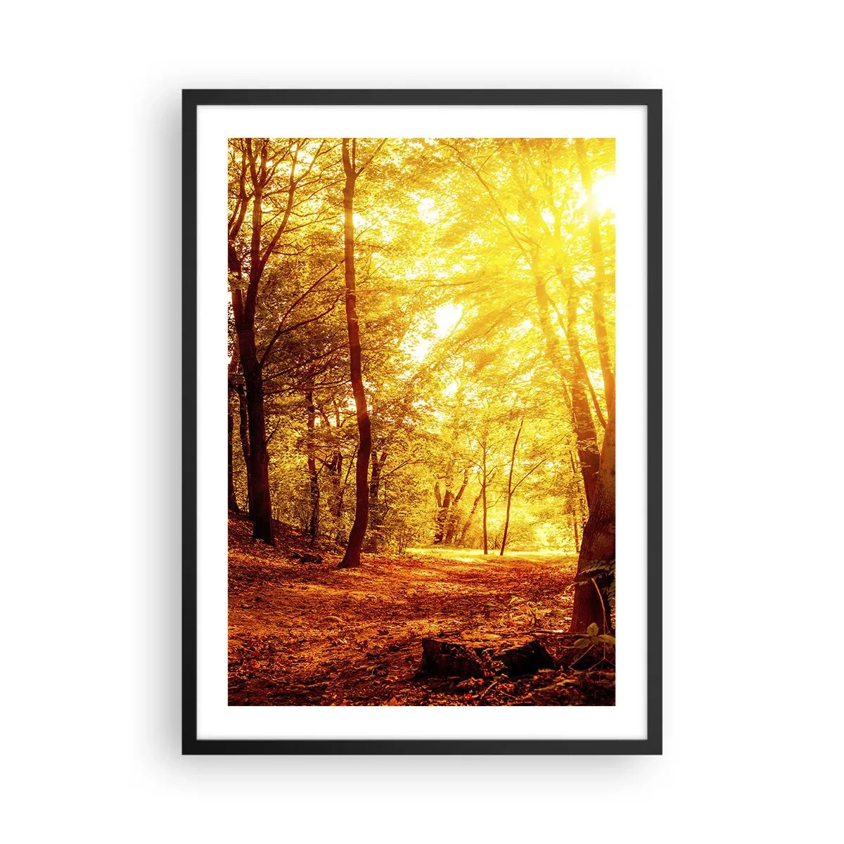 Poster in black frame - Sunset illuminating an autumn forest full of golden leaves - 50x70cm - Towards Golden Plain - Modern wall decoration for the living room and bedroom ARTTOR