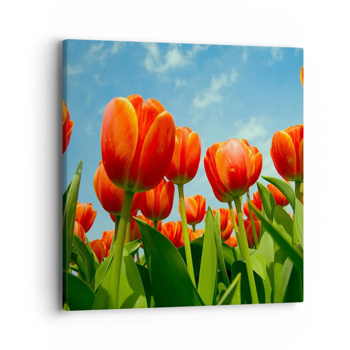 Canvas picture - Blue Sky Is All They Need - 40x40 cm