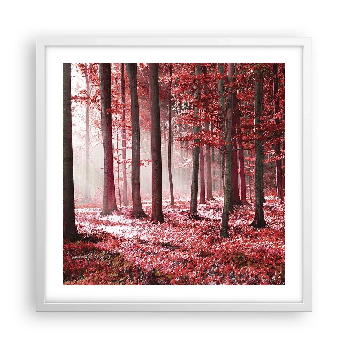 Poster in white frmae - Red Equally Beautiful - 50x50 cm