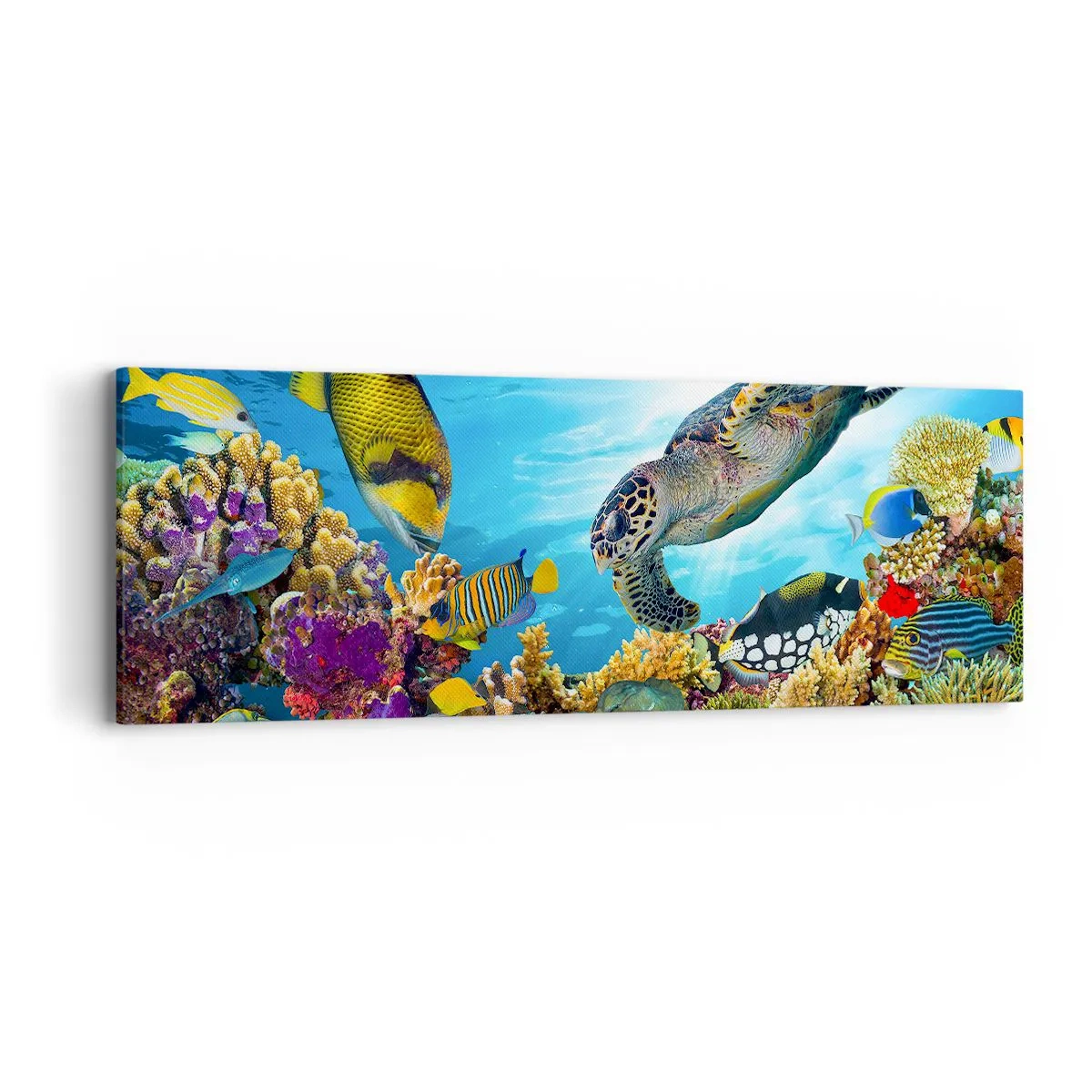 Canvas picture - Coral Promenade - 90x30 cm