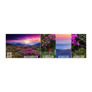Photo Wallpaper Sample Standard Eco - Smells Strongly of Herbs - Landscape, Mountains, Flowers - 100x30 cm