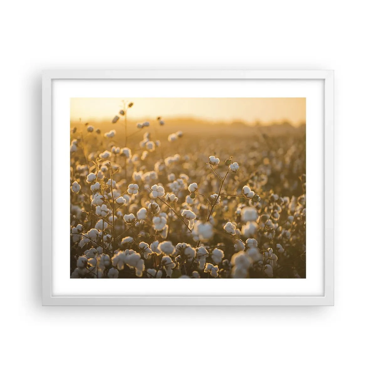 Poster in white frmae - Fluffy Field - 50x40 cm