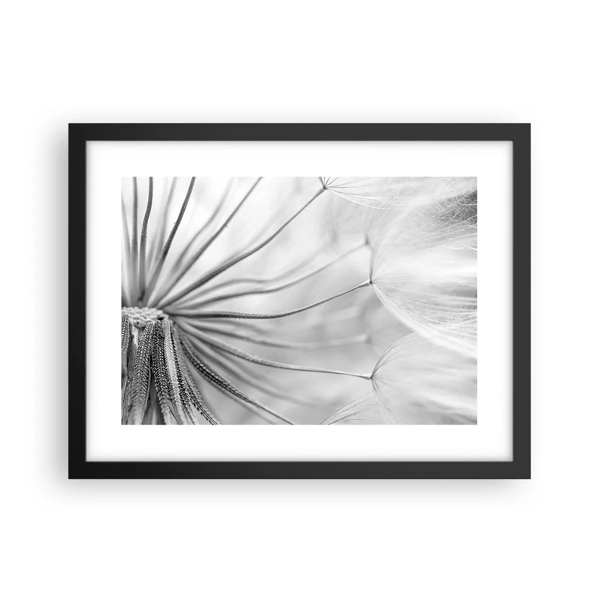 Poster in black frame - Dandelion Kites - 40x30 cm