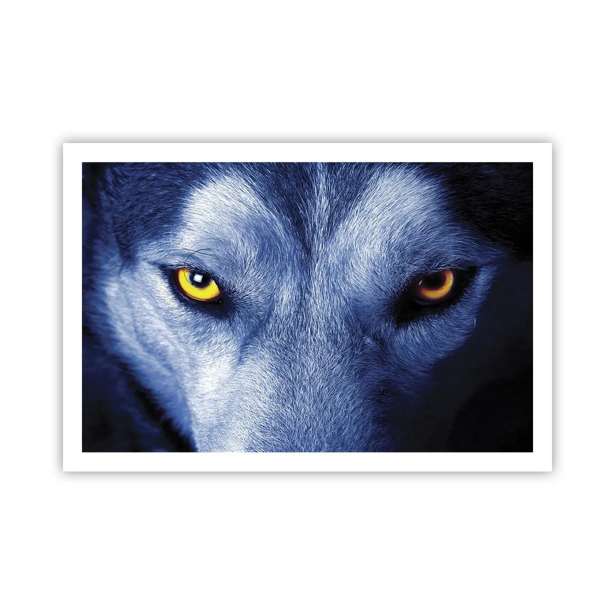 Poster - Mesmerising Look - 91x61 cm