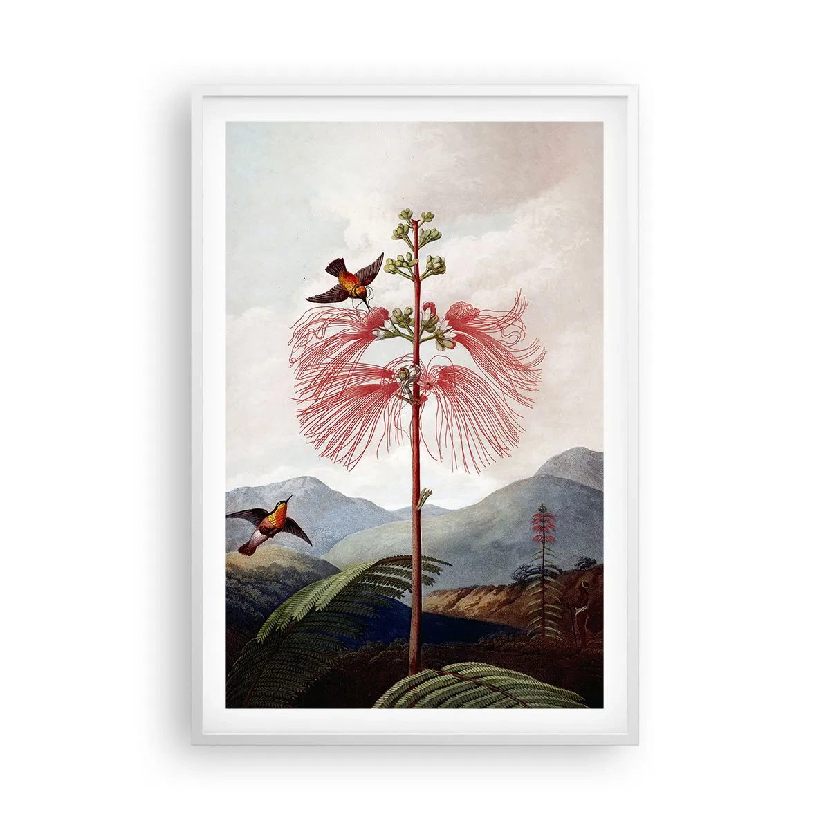 Poster in white frmae - In a Tropical Paradise - 61x91 cm