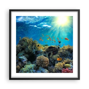 Poster in black frame - Underwater Treasures - 50x50 cm