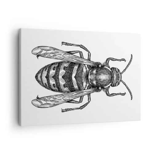 Canvas picture - A cartoon wasp motif on a white background in a minimalist style. - 70x50cm - From Insect Planet - Modern wall decoration for the living room and bedroom ARTTOR
