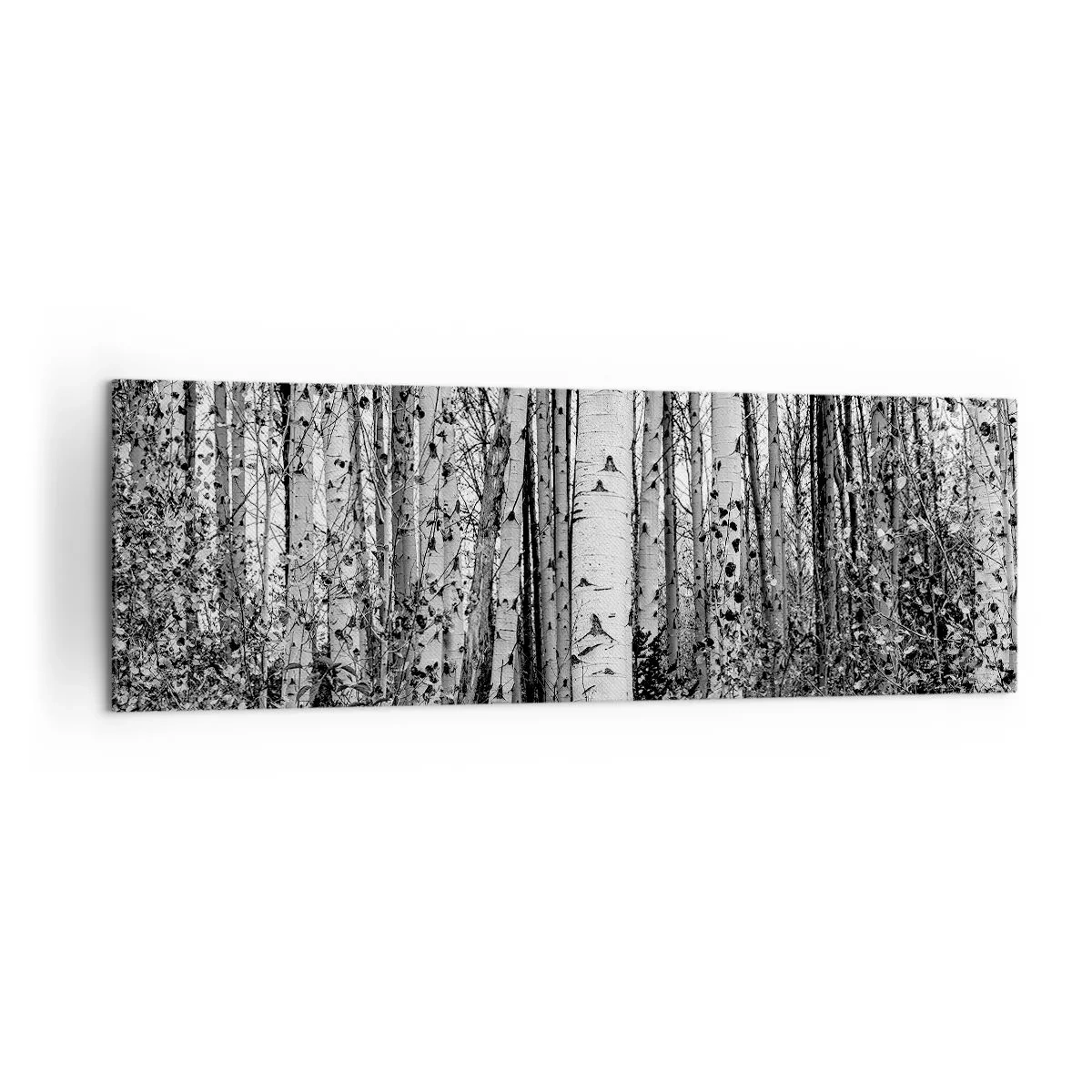 Canvas picture - Birch Colonnade - 160x50 cm