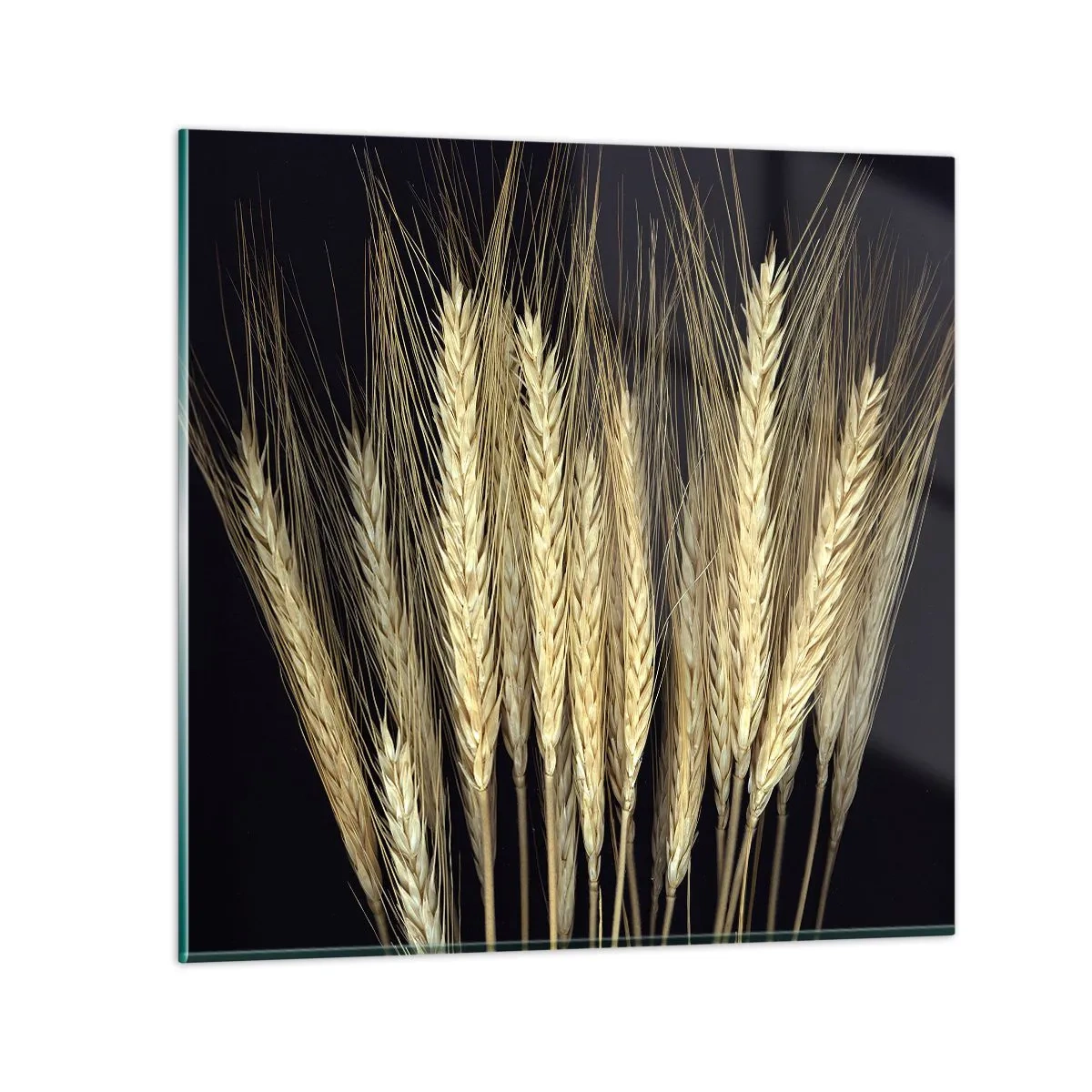 Glass picture - Rustic Magic - 40x40 cm