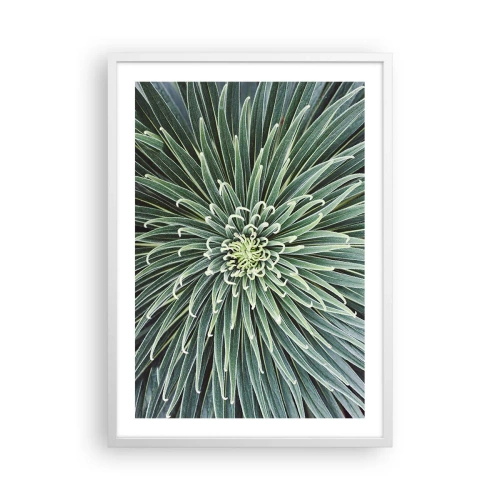 Poster in white frmae - Birth of a Star - 50x70 cm