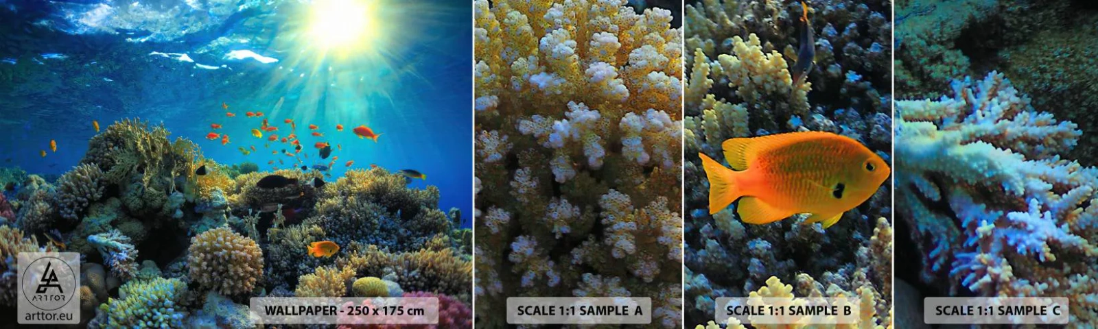 Photo Wallpaper Sample Self-Adhesive Deluxe Sticker - Underwater Treasures - Coral reef, Ocean, Maritime - 100x30 cm