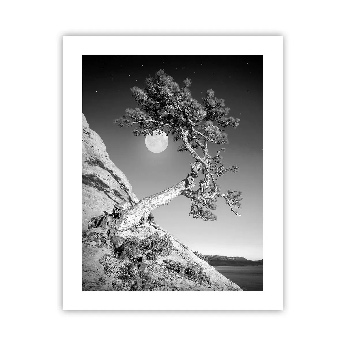 Poster - Winning Warrior - 40x50 cm