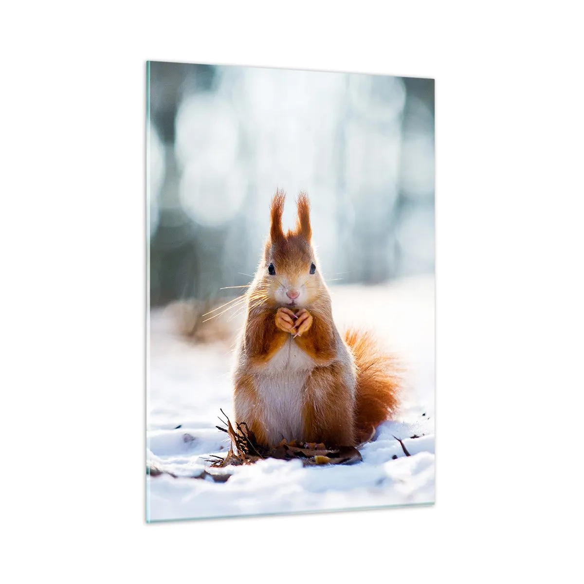Glass picture - What Are You Looking at? - 50x70 cm