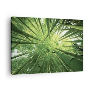 Canvas picture - View up through a green bamboo grove - 70x50cm - In a Bamboo Forest - Modern wall decoration for the living room and bedroom ARTTOR