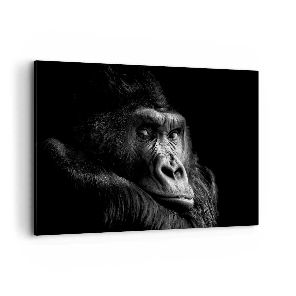 Canvas picture - What Are You Looking At? - 120x80 cm