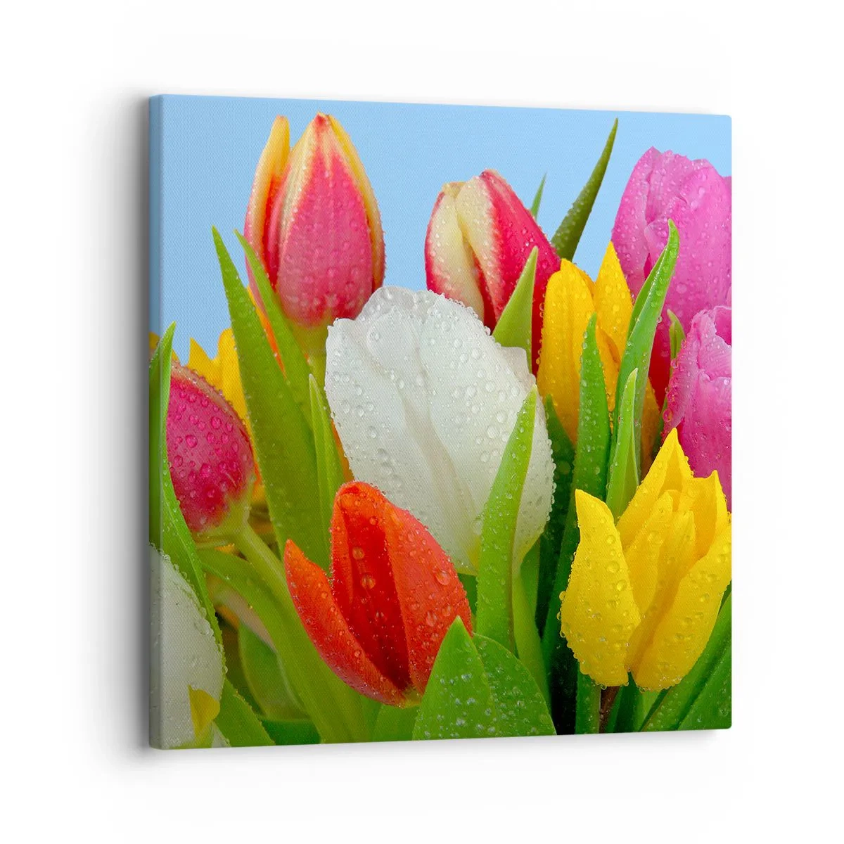 Canvas picture - Floral Rainbow in Dew Drops - 30x30 cm