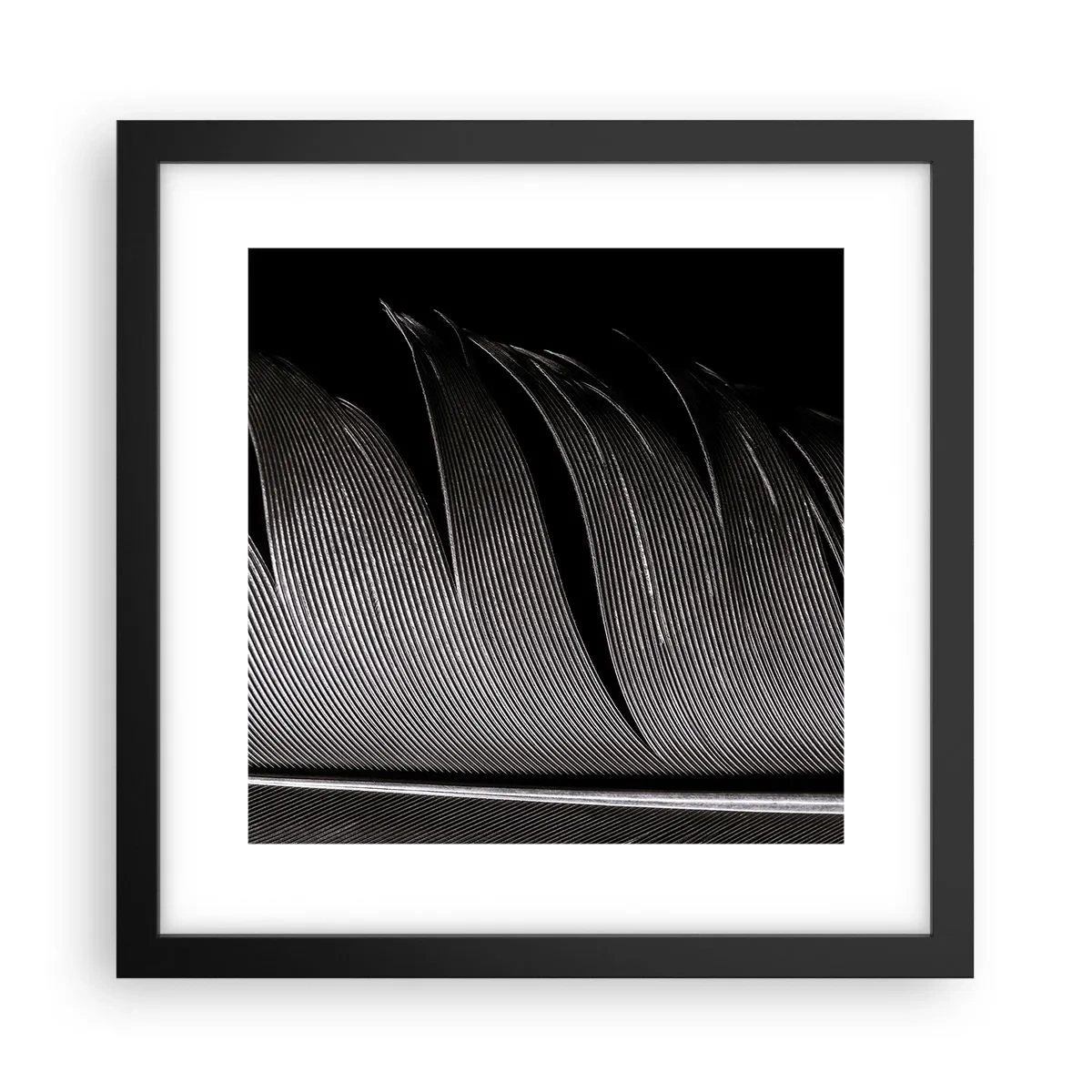 Poster in black frame - Feather - Wonderful Constract - 30x30 cm