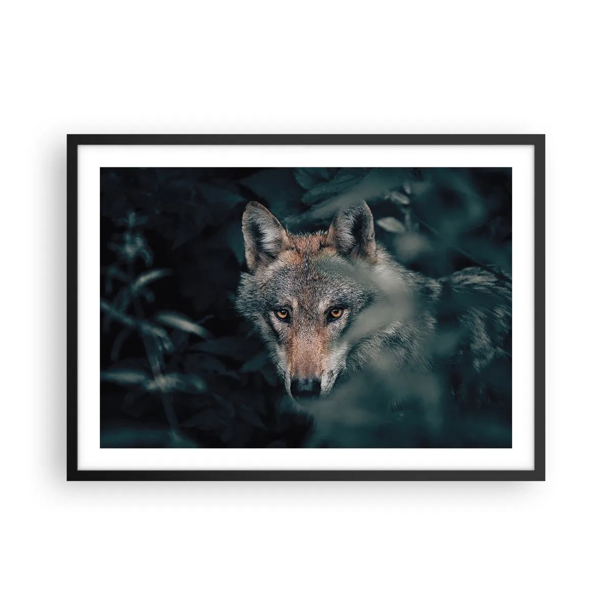 Poster in black frame - Hunter - 70x50 cm