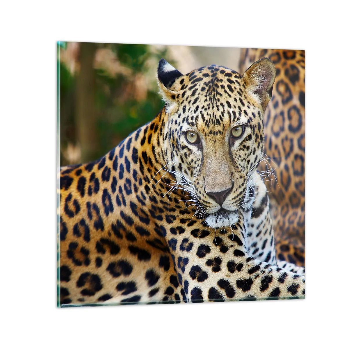 Glass picture - Wild and Calm - 30x30 cm