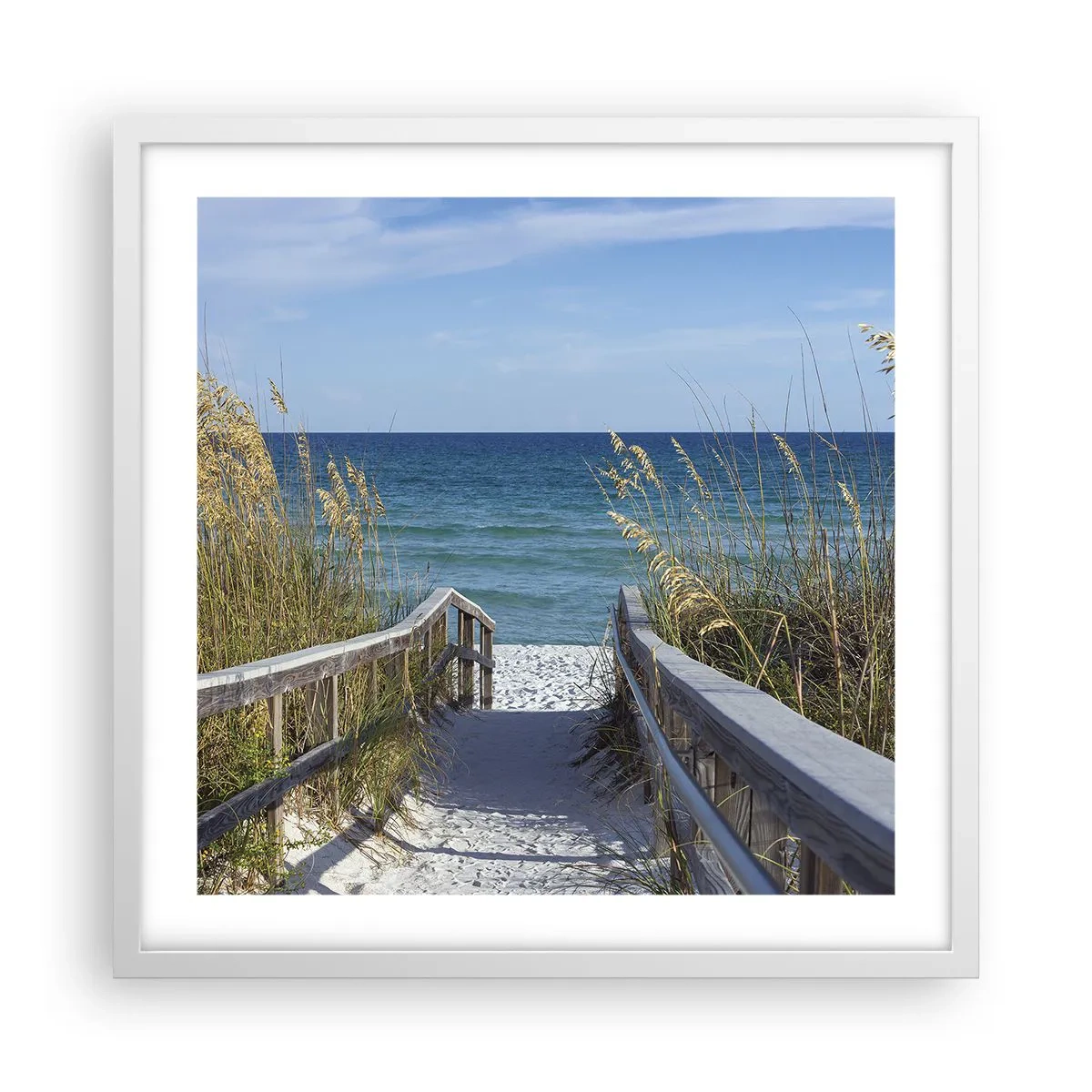 Poster in white frmae - In the Sun, out in the Wind - 50x50 cm
