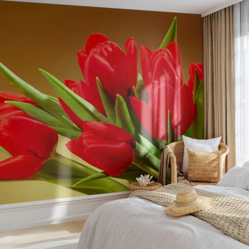 Self-Adhesive Photo Wallpaper Deluxe Sticker - Bunch of Spring Joy - Flowers, Tulips, Bouquet of flowers - 200x140 cm