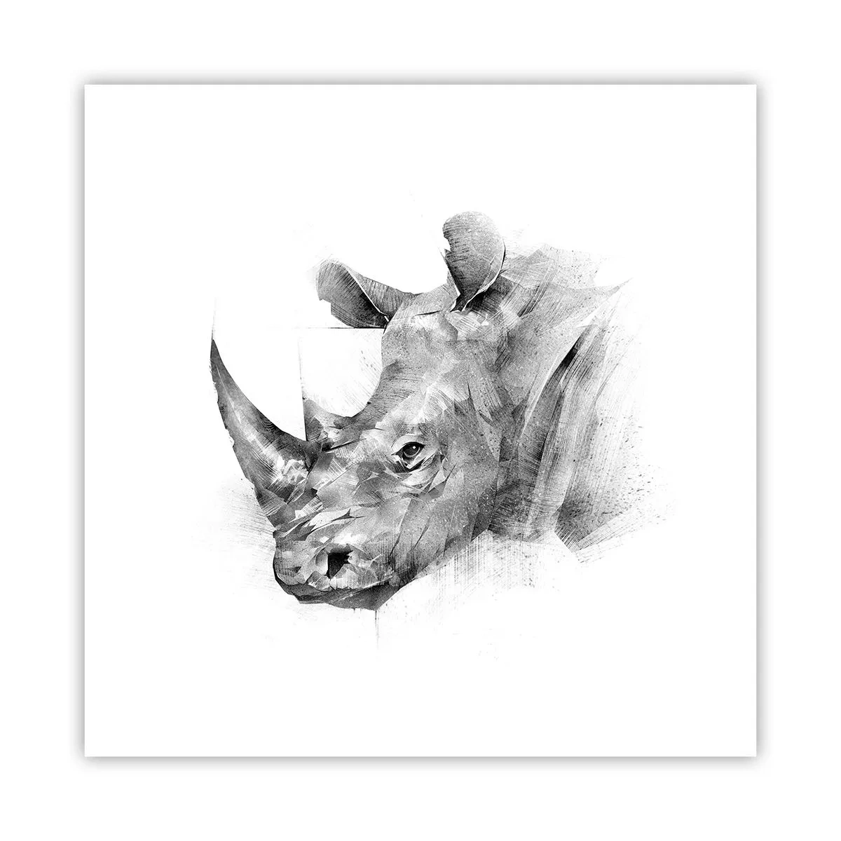 Poster - African Portrait - 30x30 cm