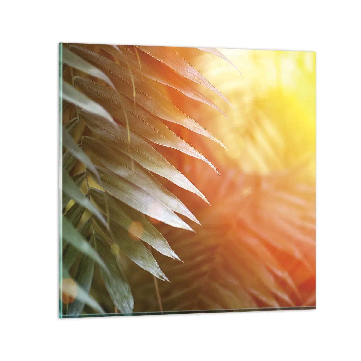 Glass picture - Morning in the Jungle - 30x30 cm