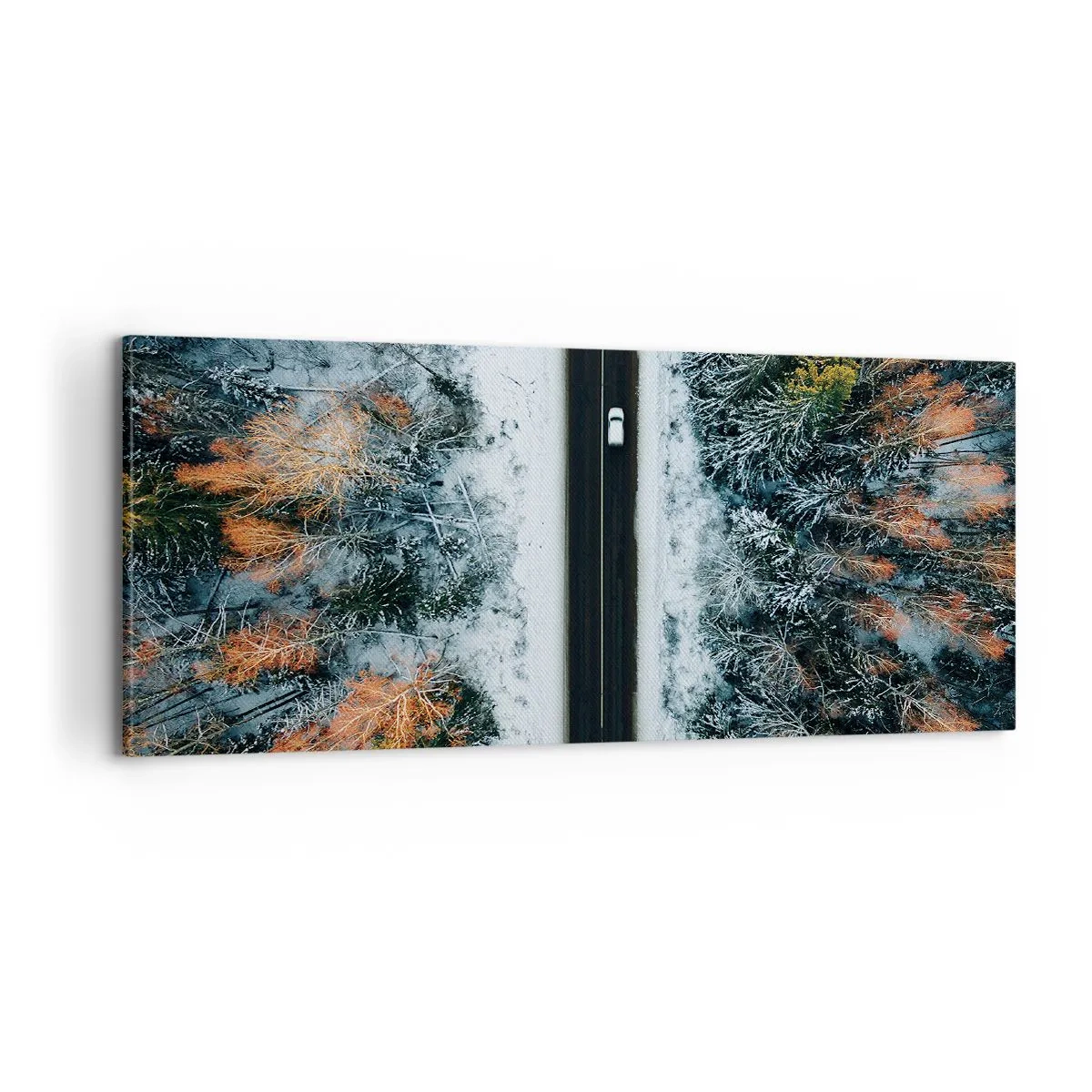 Canvas picture - Through a Wintery Forest - 100x40 cm