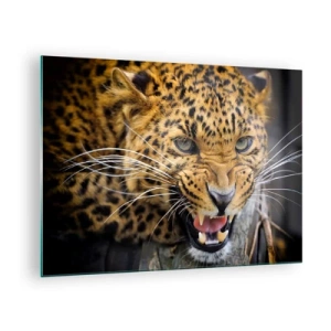 Glass picture - Close-up of an aggressive leopard with clear details - 70x50cm - Do Not Come Close, I am Warning You! - Modern wall decoration for the living room and bedroom ARTTOR
