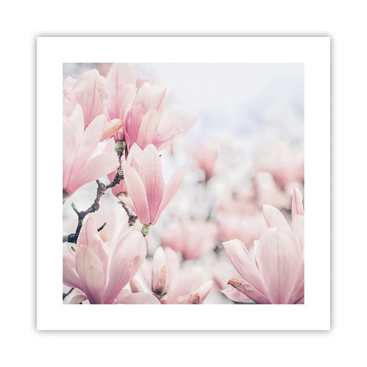 Poster - Ideal of Subtlety - 40x40 cm