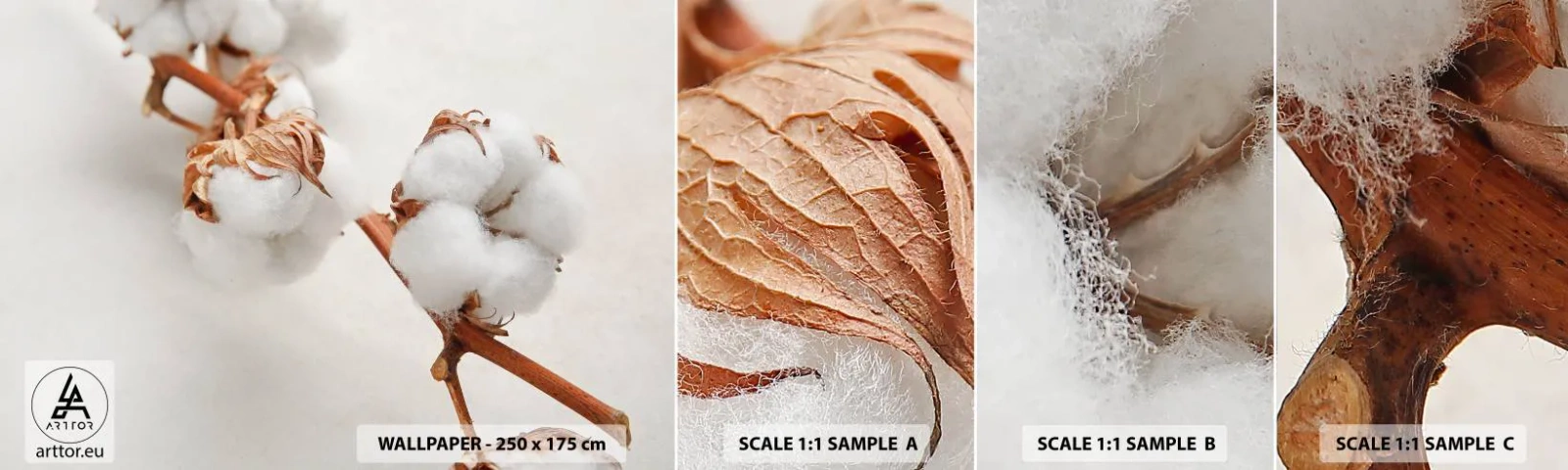 Photo Wallpaper Sample Standard Eco - Just Cuddle It - Cotton Flower, Flower, Cotton Twig - 100x30 cm