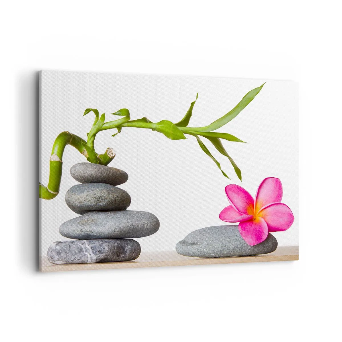 Canvas picture - Colours of Life - 120x80 cm