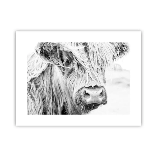 Poster - Scottish Wilderness - 40x30 cm