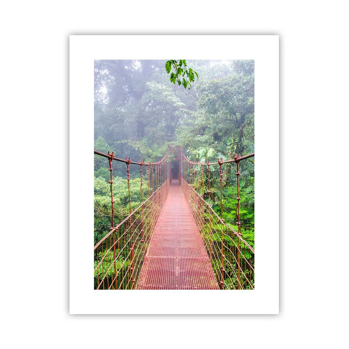 Poster - Suspended above Crowns - 30x40 cm