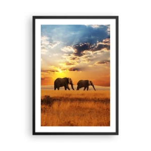 Poster in black frame - Elephants walking in the glow of the setting sun - 50x70cm - Family Walk - Modern wall decoration for the living room and bedroom ARTTOR