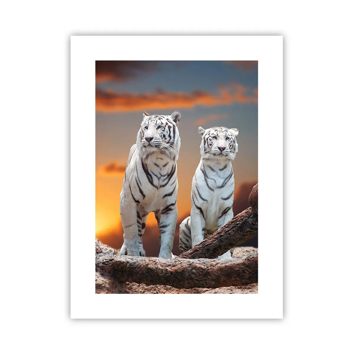 Poster - Just Like in Narnia - 30x40 cm