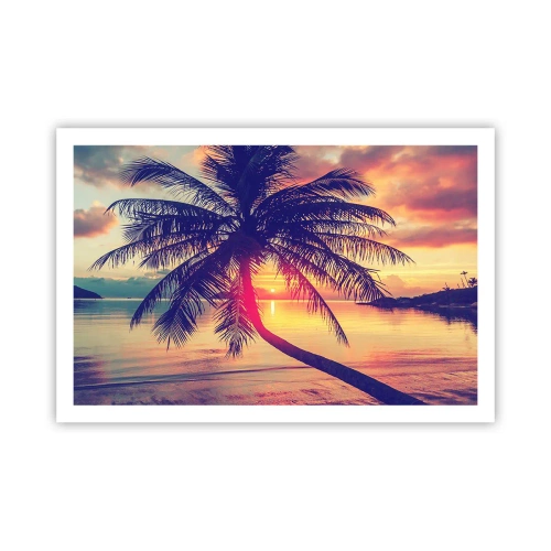Poster - Evening under the Palm Trees - 91x61 cm