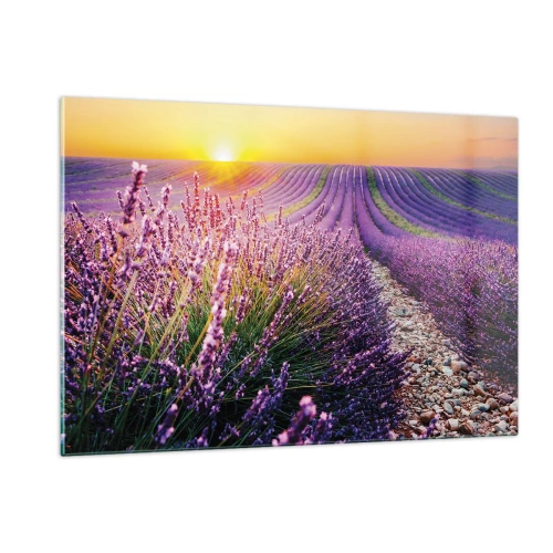 Glass picture - Fragrant Field - 120x80 cm